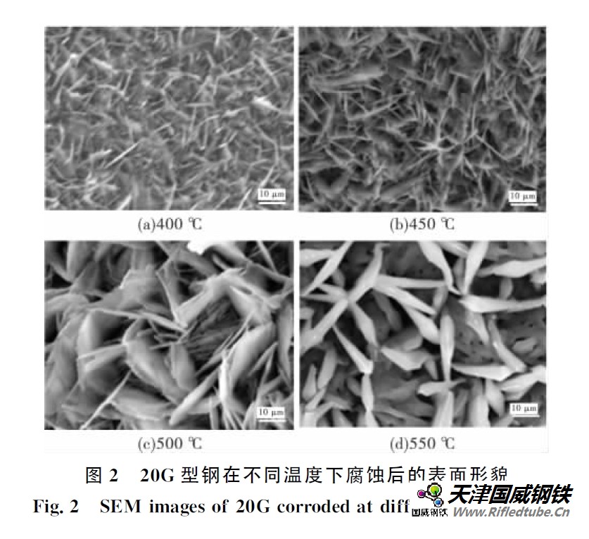 20G型鋼在不同溫度下腐蝕后的表面形貌